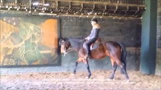 UVA  CORINNE et Marie Hélène GODBERT Une équitation relaxante de technique et de ressenti © [upl. by Dinny983]