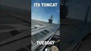 TOMCAT TUESDAY [upl. by Sitelc]