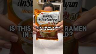 Best Ramen in the World Part 11 shorts food noodles asmr mukbang [upl. by Corbin225]