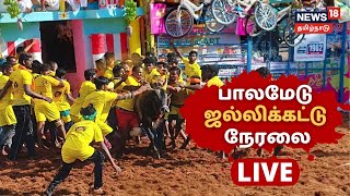 Madurai Palamedu Jallikattu LIVE 2022  ஜல்லிக்கட்டு  Jallikattu LIVE  Jallikattu Kaalai [upl. by Solitta]