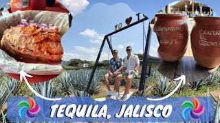 Tour en Tequila Jalisco Cantaritos El GüeroRecorrido En DestiladeraCostosTips [upl. by Nnaynaffit]