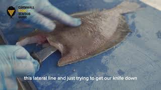 How to fillet a Megrim or Cornish Sole [upl. by Netsrijk]