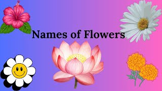 Names of the flowers [upl. by Rysler]