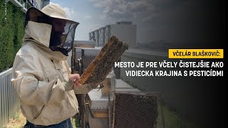 Včelár Blaškovič Mesto je pre včely čistejšie ako vidiecka krajina s pesticídmi [upl. by Atteloc]