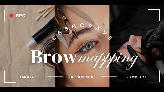 Brow Mapping video  LASHCRAVEOFFICIAL [upl. by Ricarda]