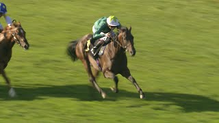 ANNIVERSARY follows in footsteps of FRANKEL ROARING LION amp COROEBUS with Newmarket maiden win [upl. by Kirbee]