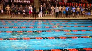 Ivy League Mens Swimming and Diving Championships 2015 100 Breast Finals [upl. by Aennyl441]