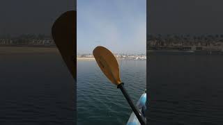 Kayaking in Los alamitos bay fishing fishingvideo kayakfishing [upl. by Enajyram377]