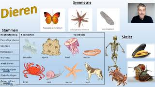 Ordening biologie  3 van 3 Biodam  Planten en dieren [upl. by Ettesus]