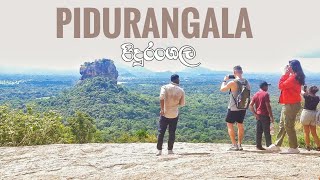 Pidurangala Hike  Sri Lanka Travel Vlog [upl. by Hasan488]