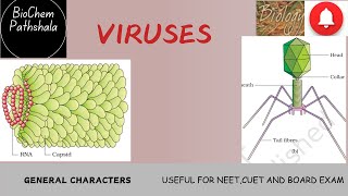 BIO10 VIRUSES [upl. by Nuhsed]