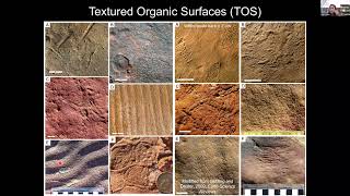 Life and Death in the Ediacaran Evolutionary Environmental and Preservational   Lidya Tarhan [upl. by Bethanne]