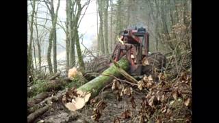 abattage gros arbres dans un coteau est débardage [upl. by Bocyaj]