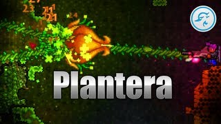 Terraria 12 How to beat Plantera [upl. by Nosemaj]