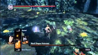 Dark Souls Boss Guide  Part 25  Black Dragon Kalameet [upl. by Coyle396]