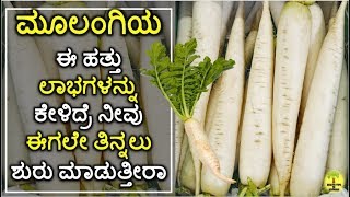 Top 10 Health Benefits of Radish in Kannada [upl. by Camilla]