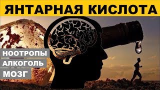 ЯНТАРНАЯ КИСЛОТА  Похмелье Нервное Истощение Фитнес Сахарный Диабет  Succinic Acid [upl. by Margarethe975]