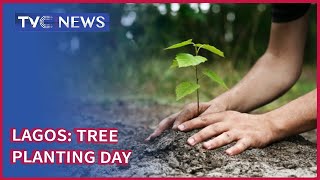 Lagos To Dedicate Tree Planting Day To Frontline Heroes [upl. by Colbye]