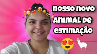 nosso novo animal de estimação exótico 😍 [upl. by Ahsinel]