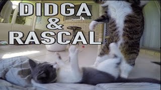 Didga and Rascal Meet Face To Face [upl. by Rizas]