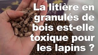 La litière en granulés de bois estelle toxique pour les lapins [upl. by Coonan]