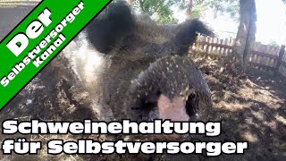 Schweinehaltung fuer Selbstversorger ganz einfach [upl. by Thackeray]