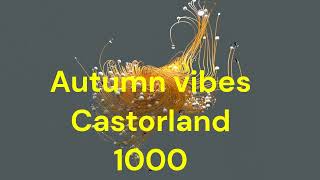 Puzzle Time Lapse Autumn vibes Castorland 1000 [upl. by Gatias]