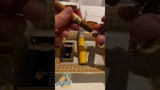 Cohiba Siglo II with Hennessy Paradis [upl. by Aztin624]