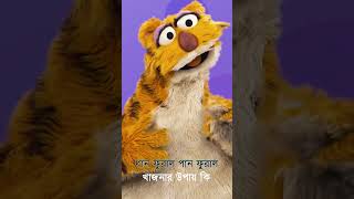 Khoka Ghumalo Para Juralo  খোকা ঘুমালো পাড়া জুড়ালো  Bangla chora  bengali rhymes shorts [upl. by Vullo]