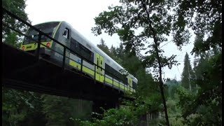 Die Ilztalbahn an der Brücke Fischhaus  Kalteneck [upl. by Perni]