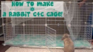 How to build a rabbit cage [upl. by Treve773]