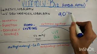 biochem of vitamin B 12  Cobalamine [upl. by Norel]