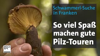 Im Hochsommer auf PilzTour Tipps von der Expertin I BR24 [upl. by Nibbor863]