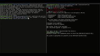 Testing polymorphic shellcode payloads [upl. by Ynohta]