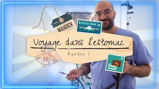 COMMENT SE PASSE UNE FIBROSCOPIE DE LESTOMAC  S01E01 [upl. by Feliks]