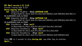 How to Install a 3tb or Larger HDD through EFI Shell UEFI method [upl. by Eirok]