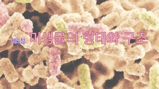 간호미생물학 제1부 제3장 미생물의 형태와 구조 [upl. by Eidorb]