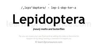 Pronunciation of Lepidoptera  Definition of Lepidoptera [upl. by Lias]