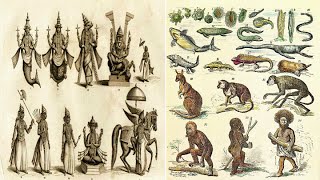 Hinduism  10 Avatars of Vishnu and Darwins Theory of Evolution  Parallels [upl. by Eedyaj]