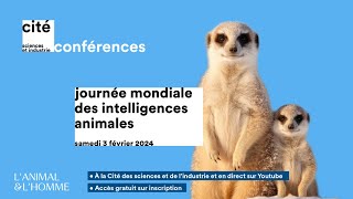 Interview de Yolaine de la Bigne  Journées des intelligences animales [upl. by Relyt152]