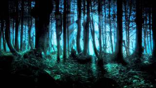 Frederic Chopin  Mysterious Forest [upl. by Merfe]