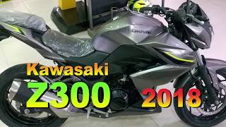 Kawasaki Z300 2018 [upl. by Adnuhsed]