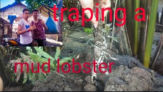 Trapping a manlamud lobster [upl. by Uol]