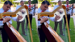 Así suena la armonía del Mariachi Aguilas de MéxicoPájaro Campana 🎶🔥 [upl. by Naryb]