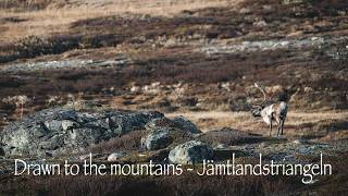 Drawn to the mountains a multiple day hike on Jämtland triangeln [upl. by Jessi758]