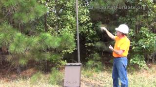 Bat House Placement with Jim Kennedy  1 [upl. by Fitzpatrick]