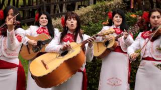 Mariachi Divas de América Mi padre es el mejor [upl. by Kile]