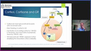 Addisons Disease Day Talk  Metabolic Syndrome as a Cushingoid Precursor [upl. by Etteiram]