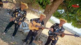 El Corrido De Sergio Lopez Los Morros Sierreños losmorrossierreños [upl. by Aiuqat]