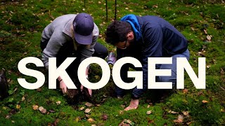 Feltarbeid med NKI  Episode 3 Skogen [upl. by Reede]